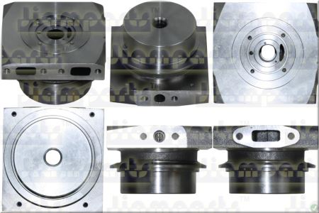 Showcase image:Bearing housing S4DCL031 FOR 167056 BH