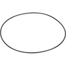 S3AS o ring — 185319